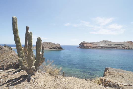 Comparte Rodríguez su amor por el estado