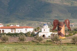 Adobe Guadalupe - Valle de Guadalupe