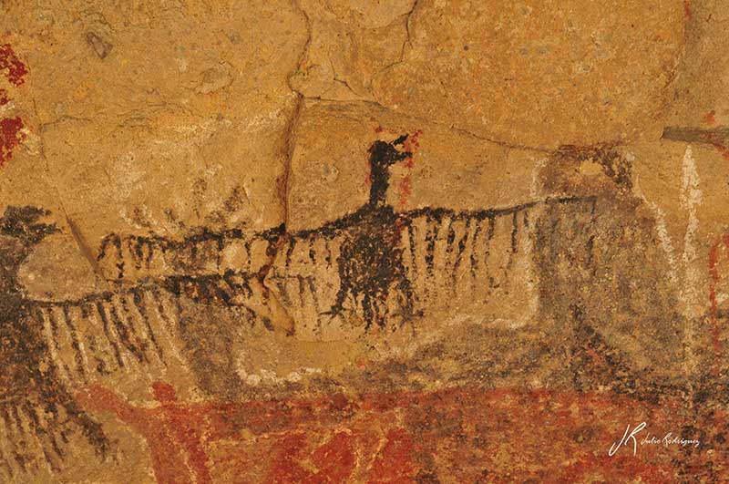 ave-sierra-san-francisco-arte-rupestre-baja-california-julio-rodriguez-low