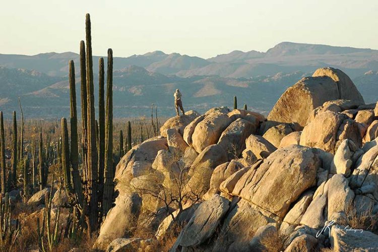Julio Rodríguez inaugura su exposición Fotográfica: »Península de California» presentada por CETYS Universidad de Mexicali