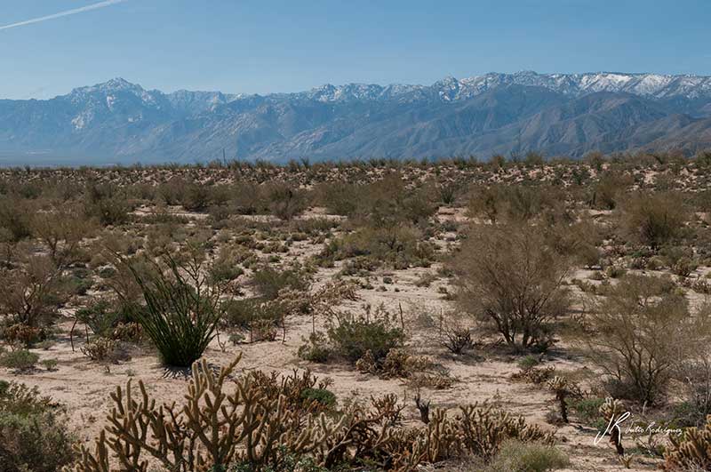 desierto-central-desierto-baja-california-julio-rodriguez-2-low