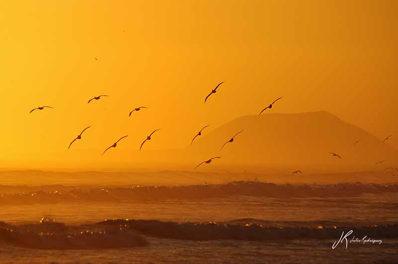 san-quintin-oceano-pacifico-baja-california-julio-rodriguez-3-low