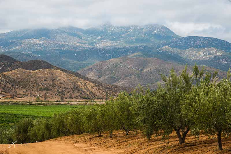 sierra-blanca-valle-de-guadalupe-valles-baja-california-julio-rodriguez-low
